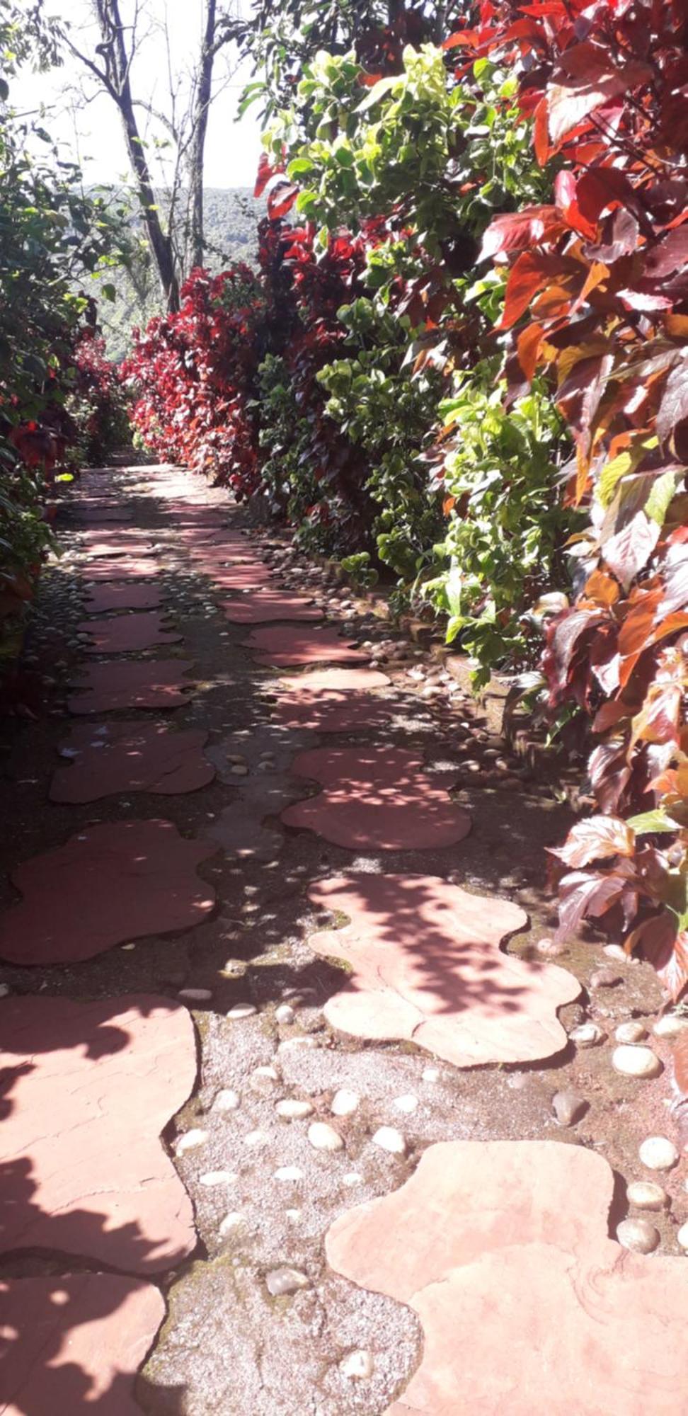 Willa Strawberry Country Mahābaleshwar Pokój zdjęcie